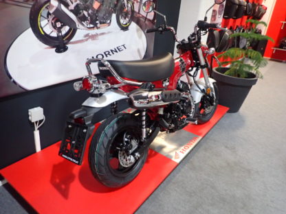 Honda DAX ST125 – Bild 2