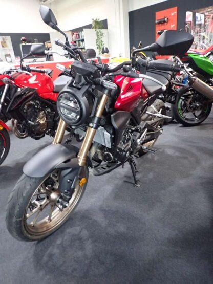 Honda CB 300R – Bild 2