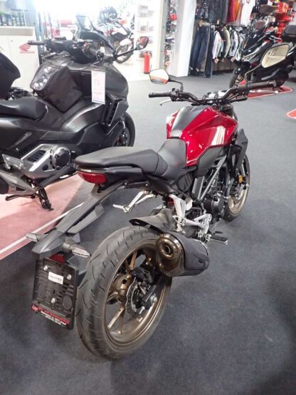 Honda CB 300R – Bild 3