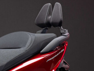Rückenlehne Forza125