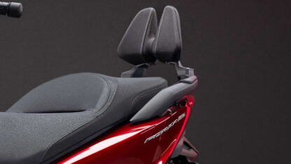 Rückenlehne Forza125