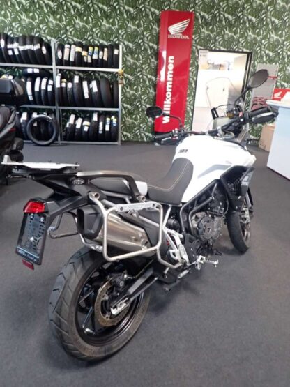 Triumph Tiger 900 GT Pro – Bild 3
