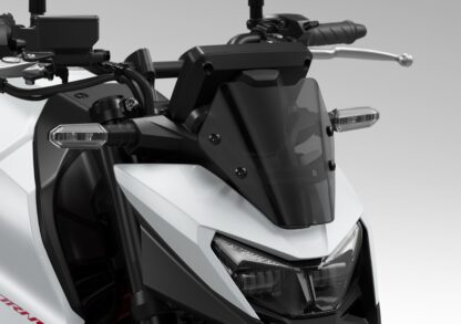 Windschild CB750 Hornet ab BJ.25